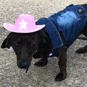 Meet your Posher, Taylor